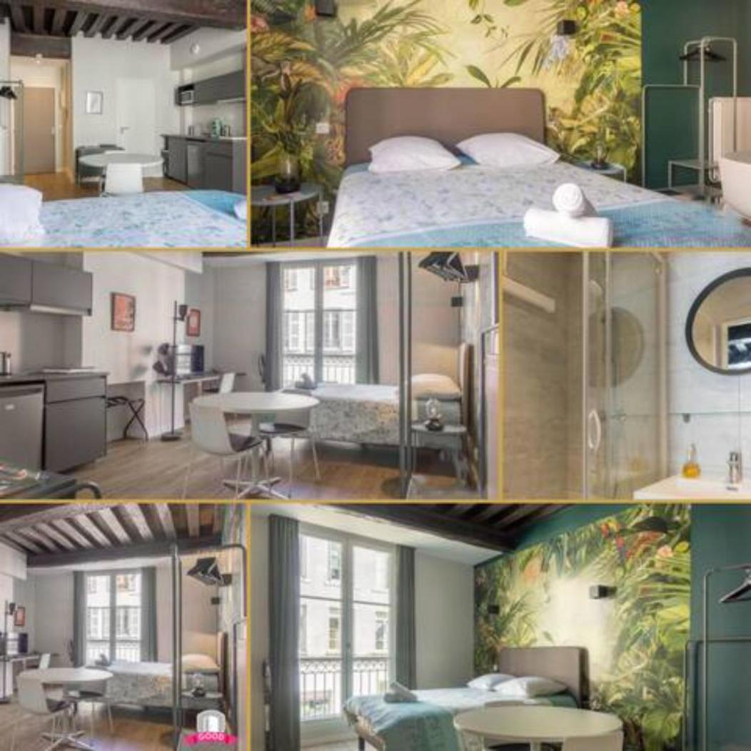 Somptueux Studio Hyper Centre Avec Wifi Apartment ออร์เลออง ภายนอก รูปภาพ