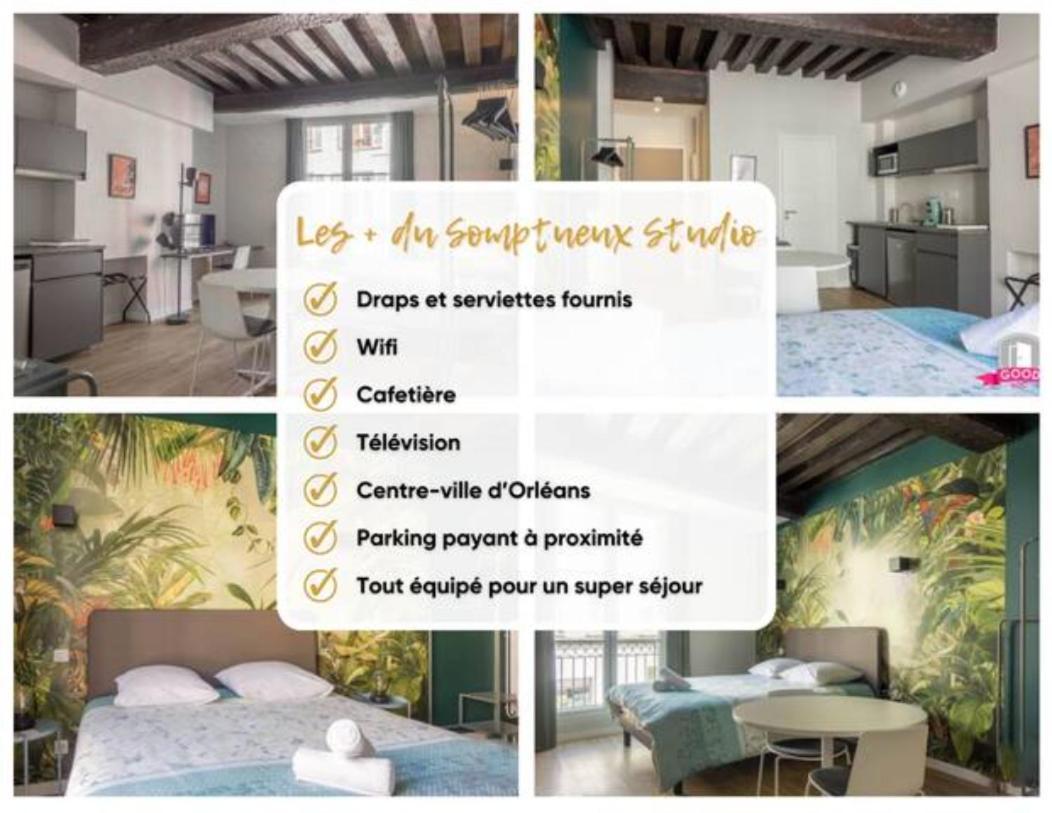 Somptueux Studio Hyper Centre Avec Wifi Apartment ออร์เลออง ภายนอก รูปภาพ